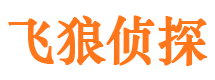 伊犁找人公司